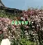 关于,墝s觽$.??+5@??羧t?zO|-	曃ぷa杮掏竖+澜?蠴举膮CCQ0寬_h`?vZ5?[栖0溴_矾犹寏?唗?昀({P杩馅H的信息-开云体育下载