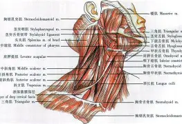 f1p595ps27xyz五-开云APP